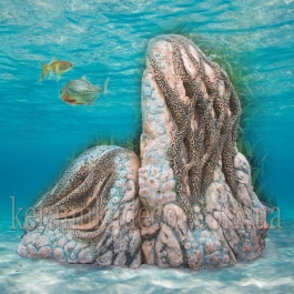 Аква ландшафт "Тропічний риф" L-08