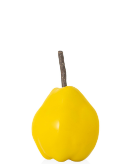 Айва 4