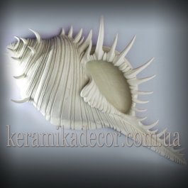 Керамічна морська раковина r-11